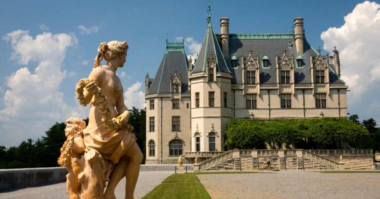 Exploring the Charm of Asheville Farm: Nature, Community, and Sustainable Living